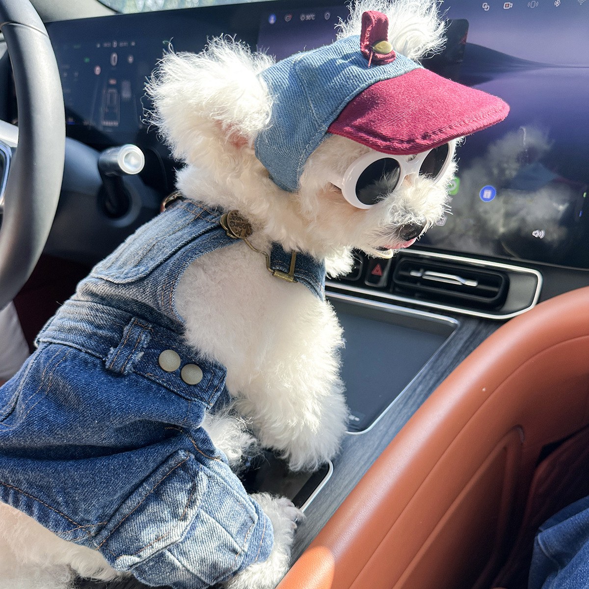 狗狗牛仔款 Dog Denim Outfit