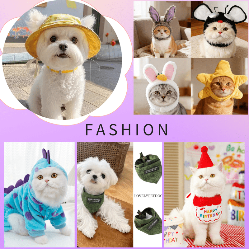 节日装扮/Pet Accessories