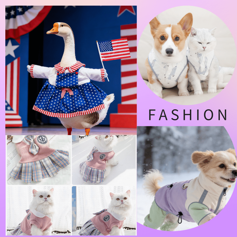 宠物服装/Pet Wear